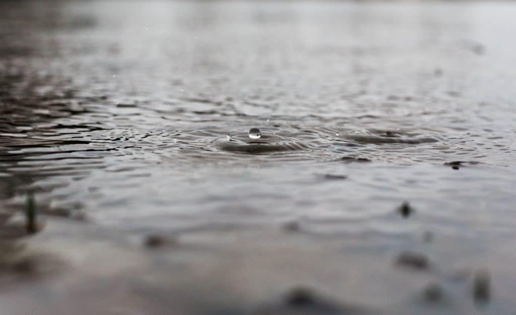 Water