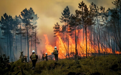 Wildfire Aftermath: Prioritizing Safety in the Toxic Cleanup