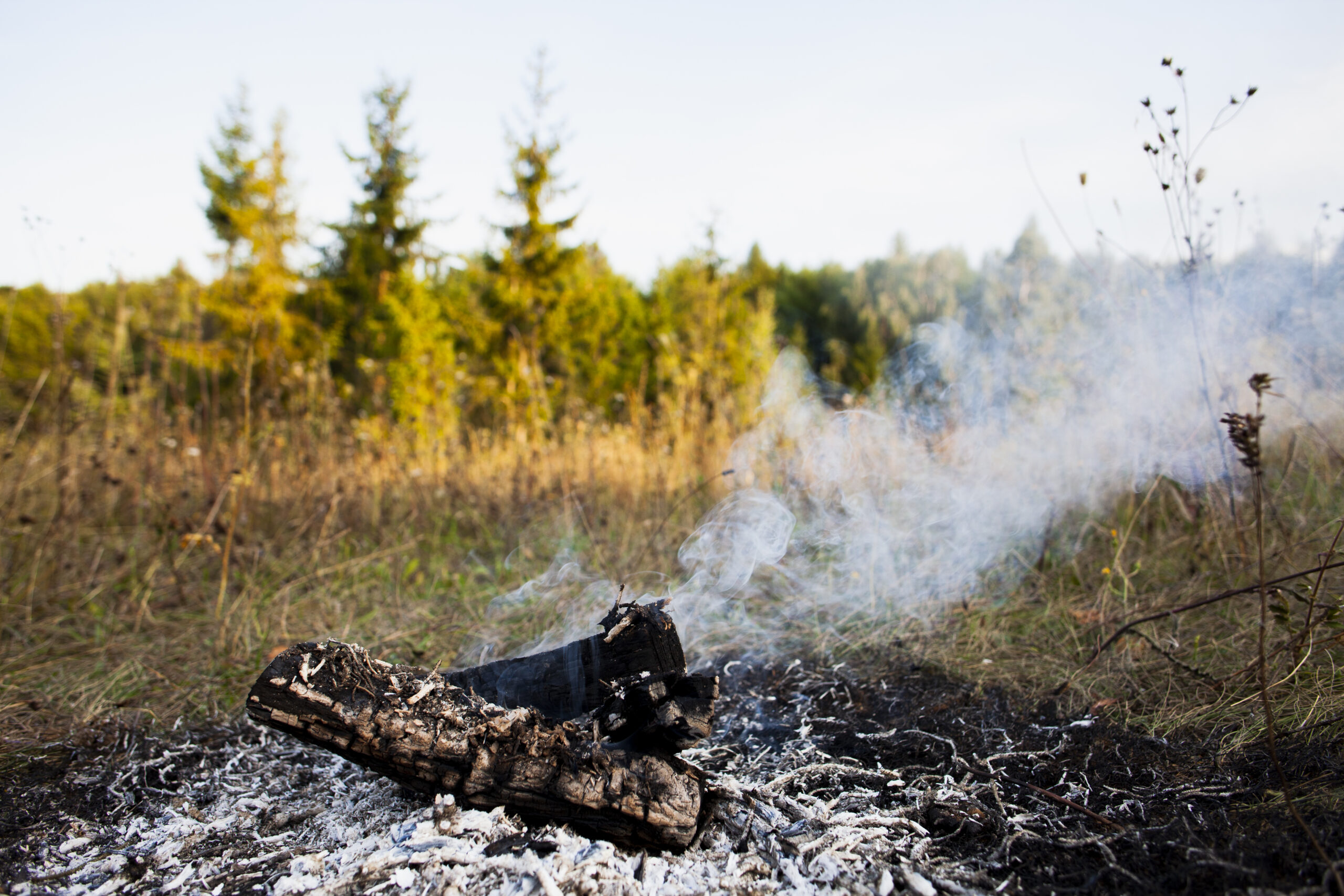 wildfire debris